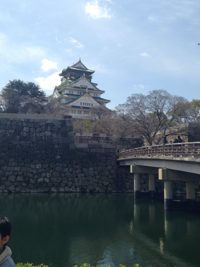 Hanami Osaka Castle (16)