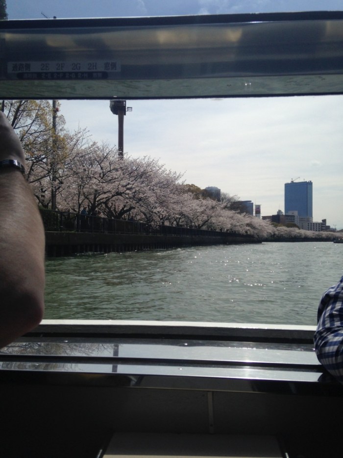 Hanami Osaka Castle (7)