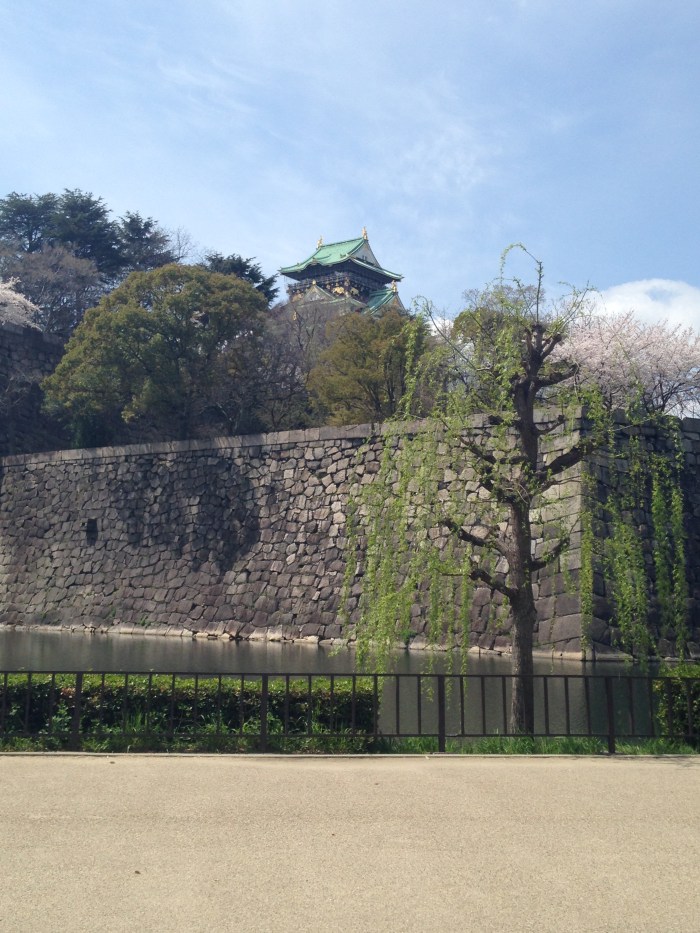 Hanami Osaka Castle (9)