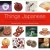 Things Japanese by Nicholas Bornoff, with photographs by Michael Freeman