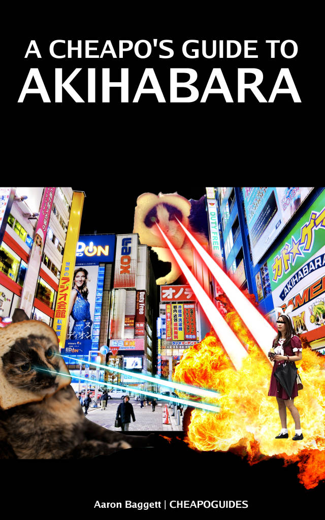 A Cheapo's Guite to Akihabara