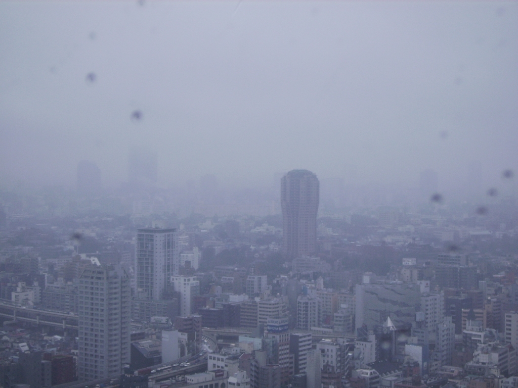 Foggy Tokyo Tower