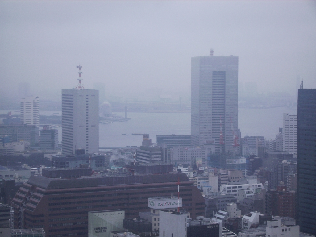 Foggy Tokyo Tower