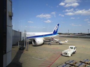 ANA 787