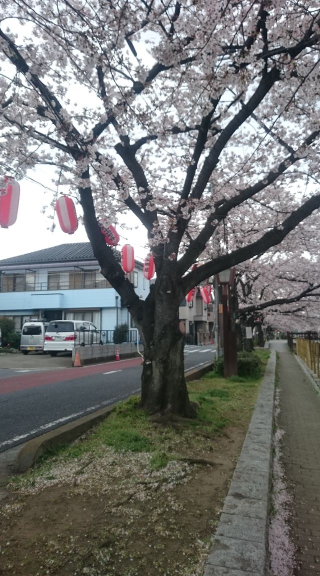 hanami
