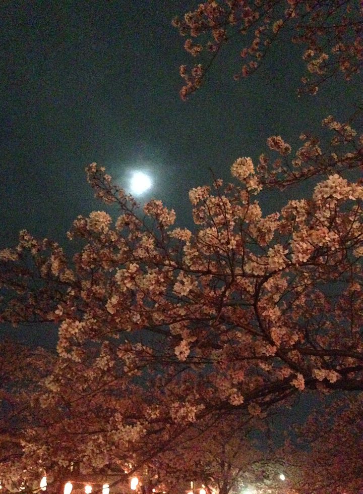 hanami