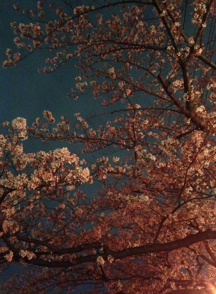 hanami