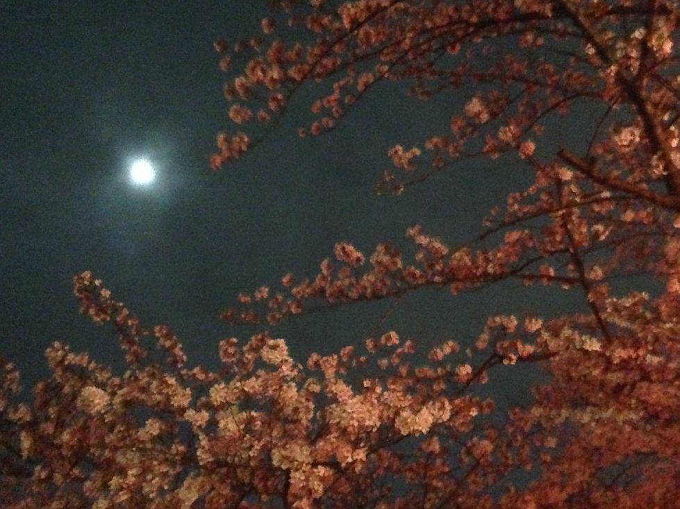 hanami