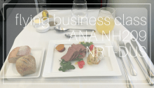 ANA Business Class NH209 NRT DUS