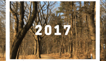 2017 New Year's Resolutions | lostmyheartinjapan.com